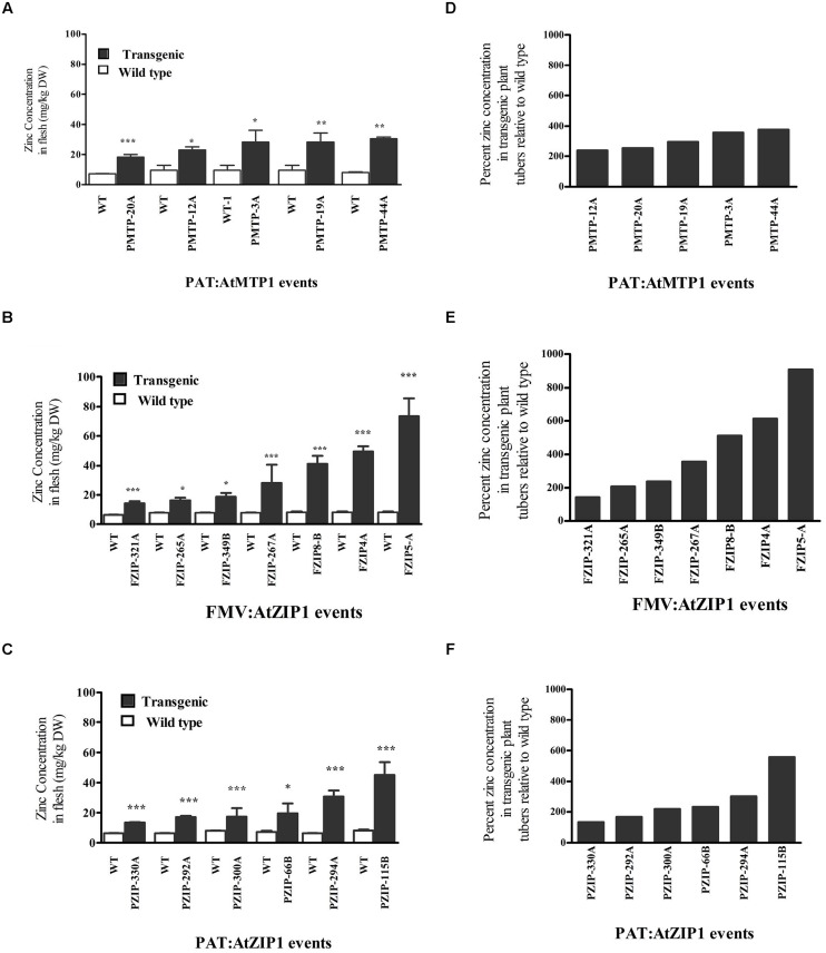 FIGURE 1