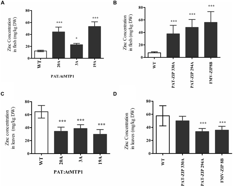 FIGURE 4