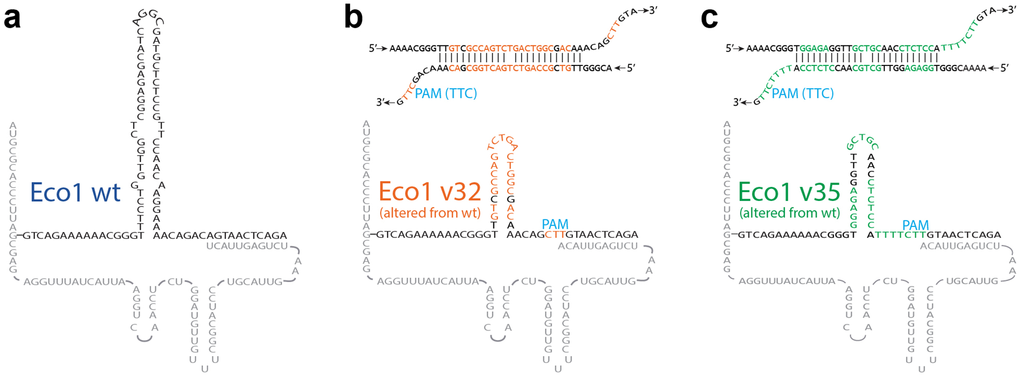 Extended Data Figure 1.