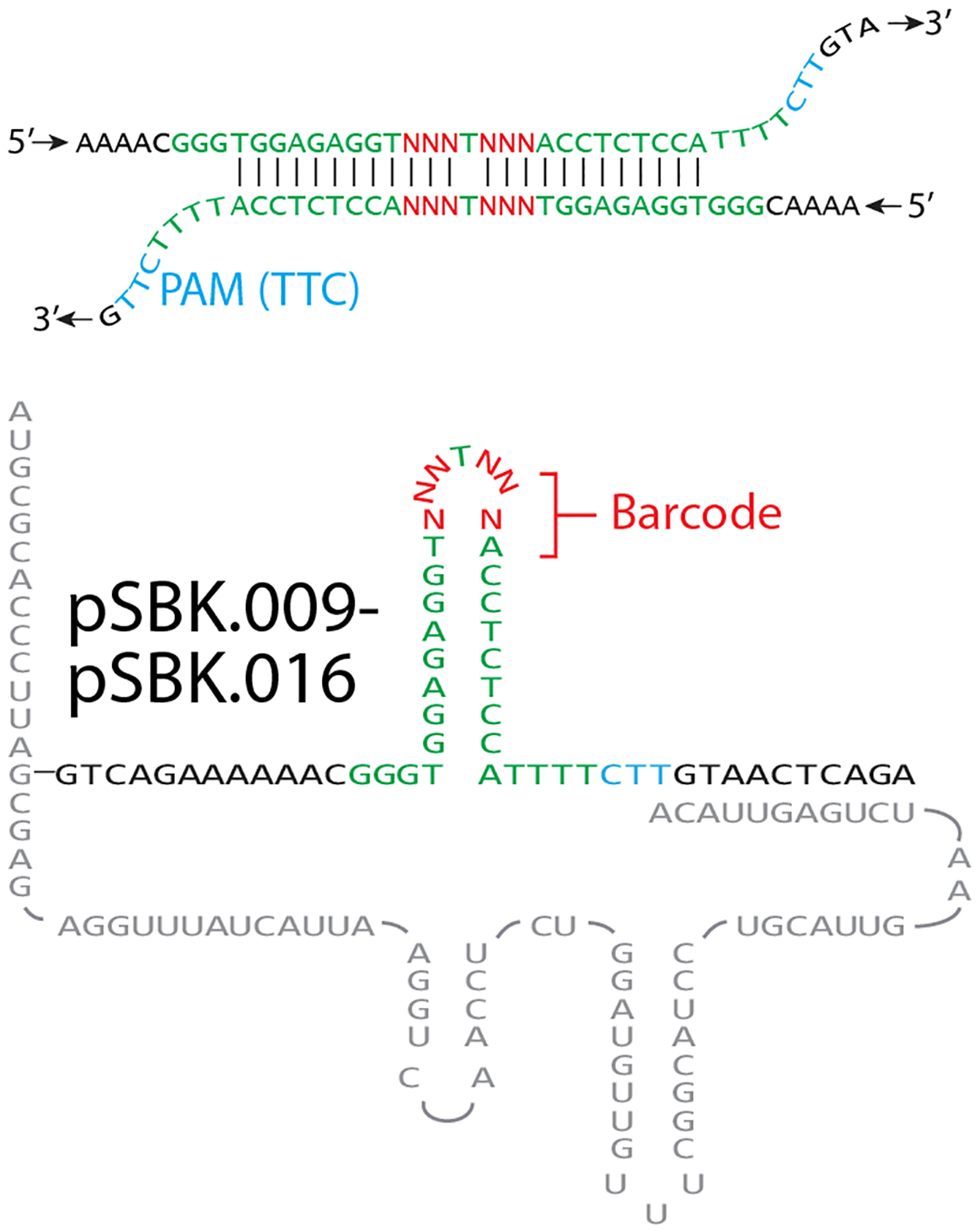 Extended Data Figure 2.