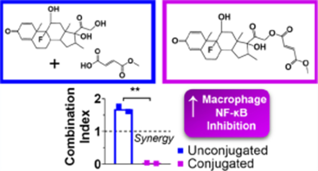 graphic file with name nihms-1916497-f0001.jpg