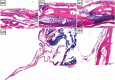 Figure 15.
