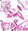 Figure 10.