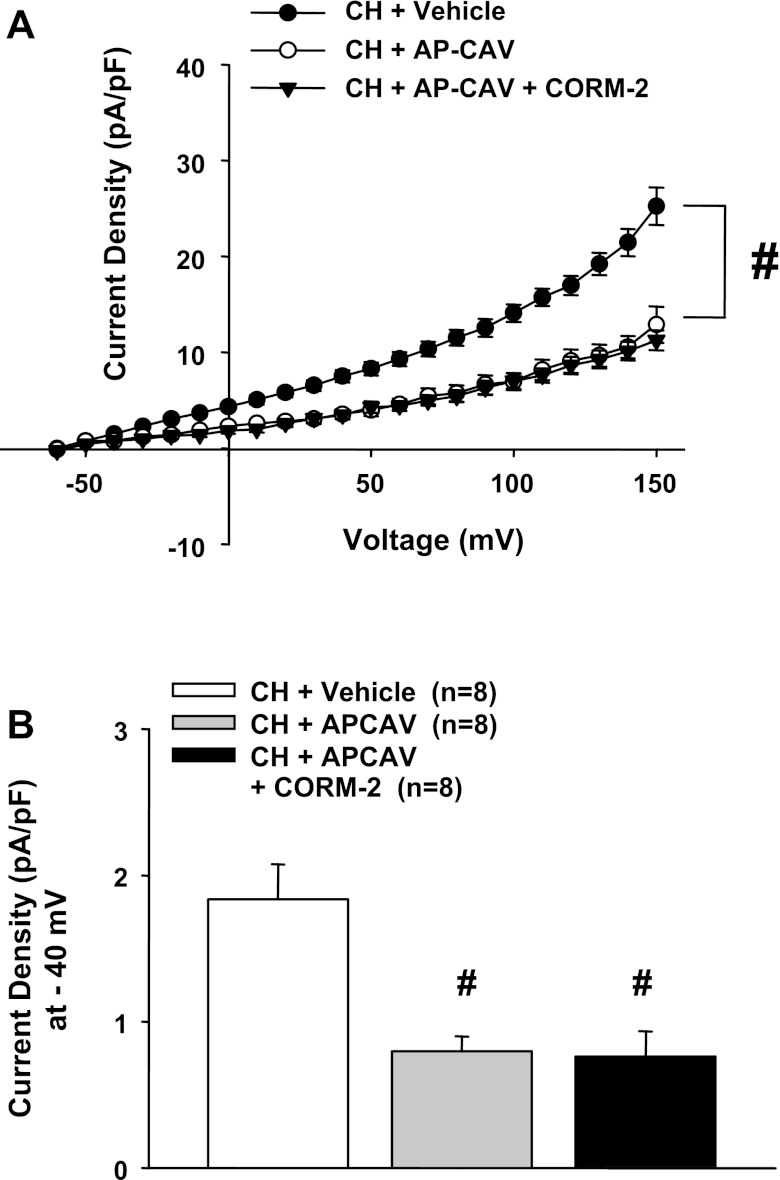 Fig. 10.