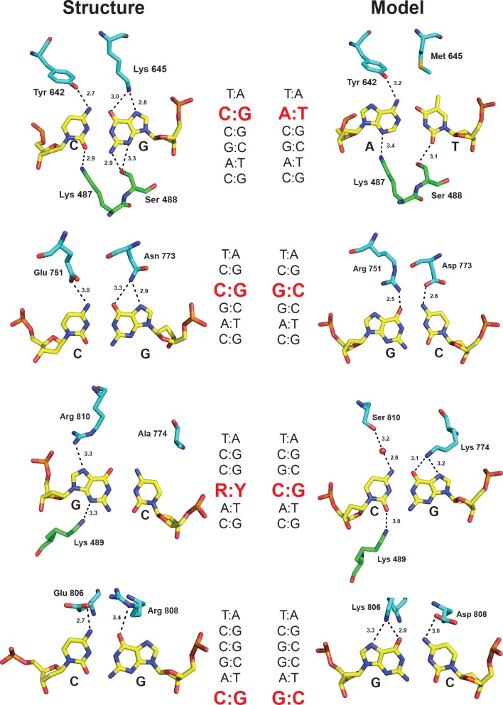 Fig 6