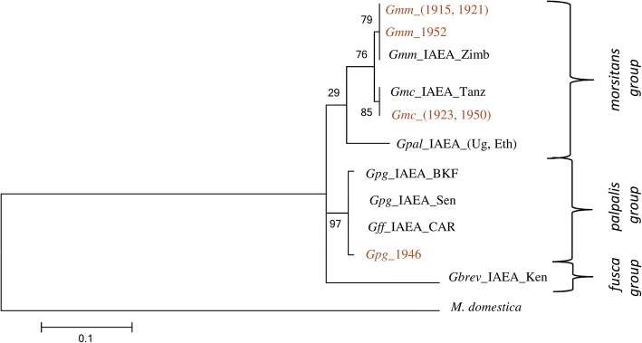 Fig. 5