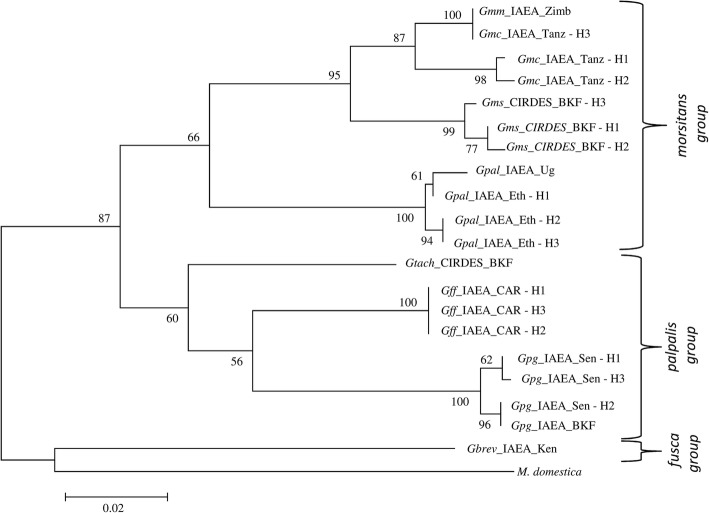 Fig. 1