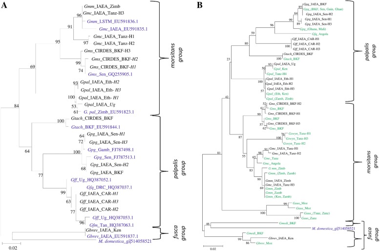 Fig. 6