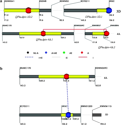 Figure 3.—