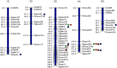 Figure 2.—