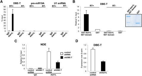 Figure 6