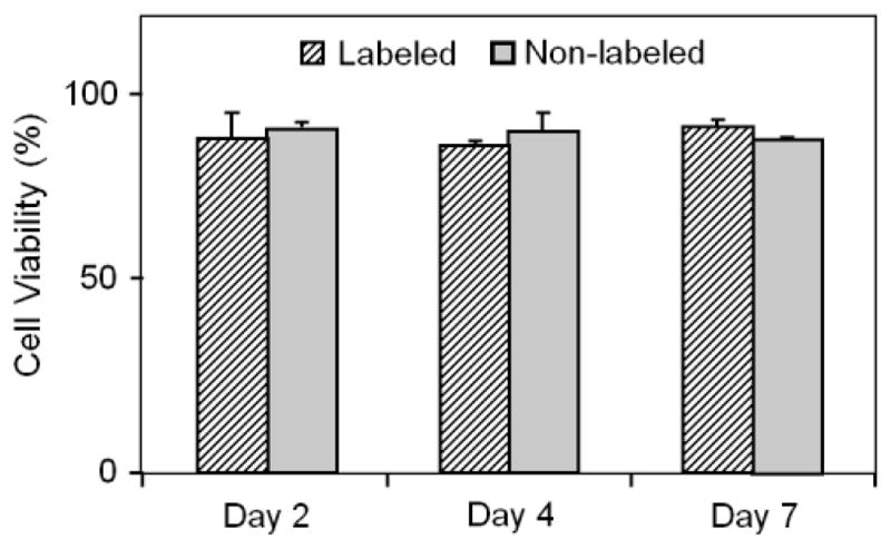 FIGURE 3