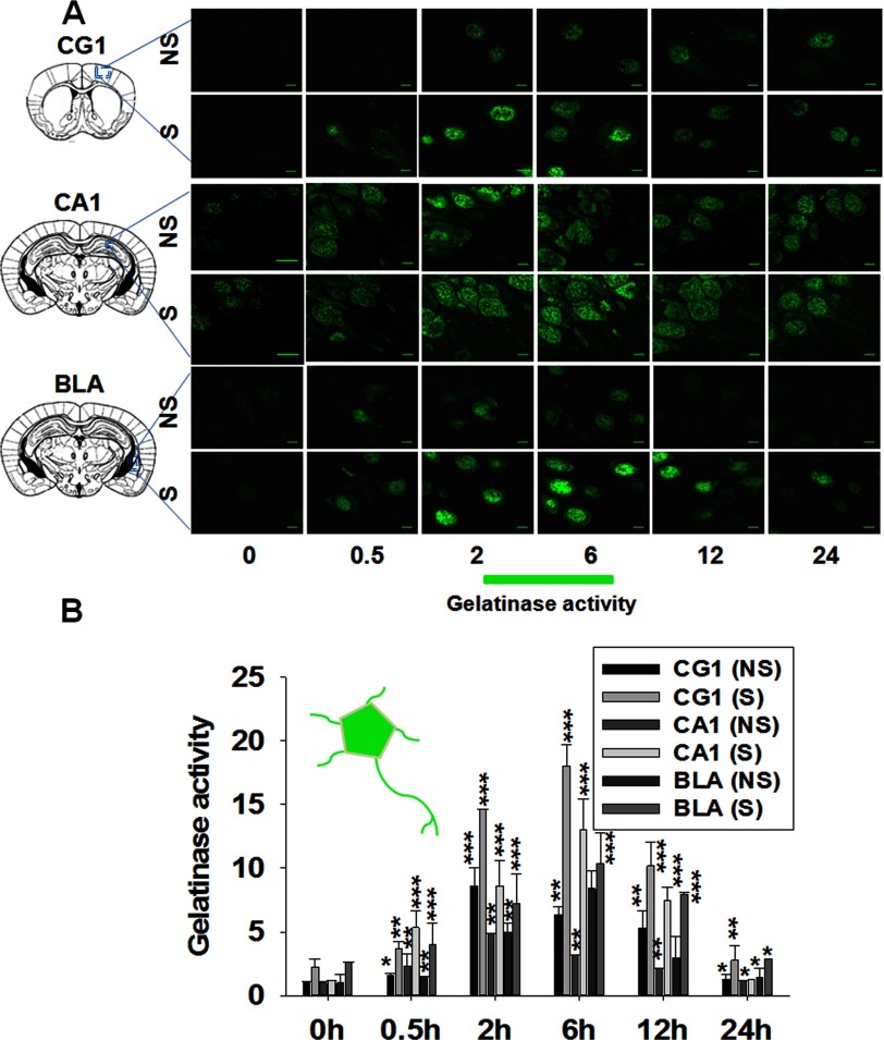 FIGURE 1.