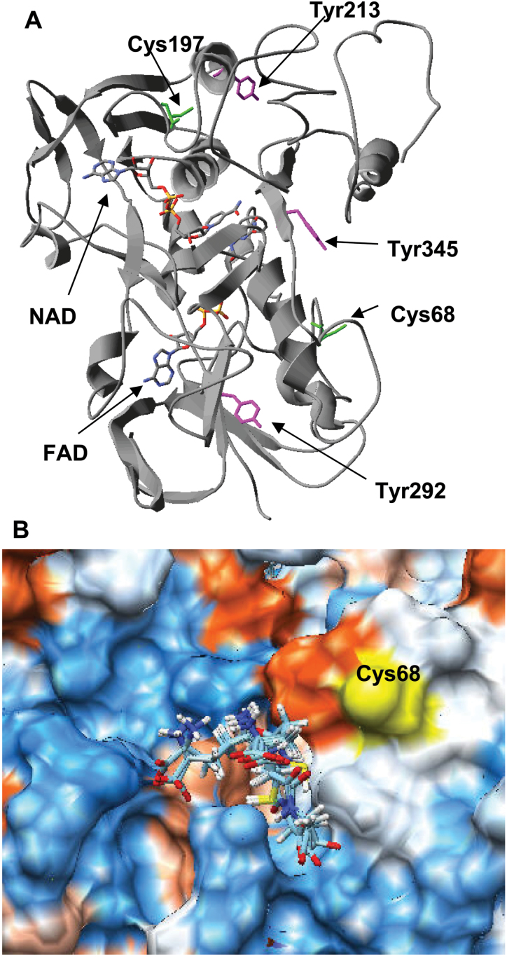 Fig. 3