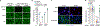 Fig. 1 |