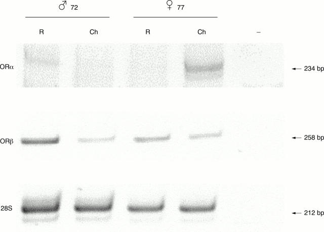 Figure 4  