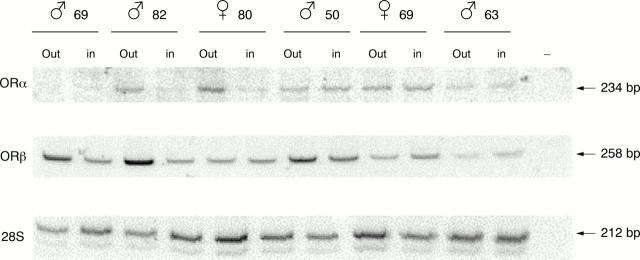 Figure 3  