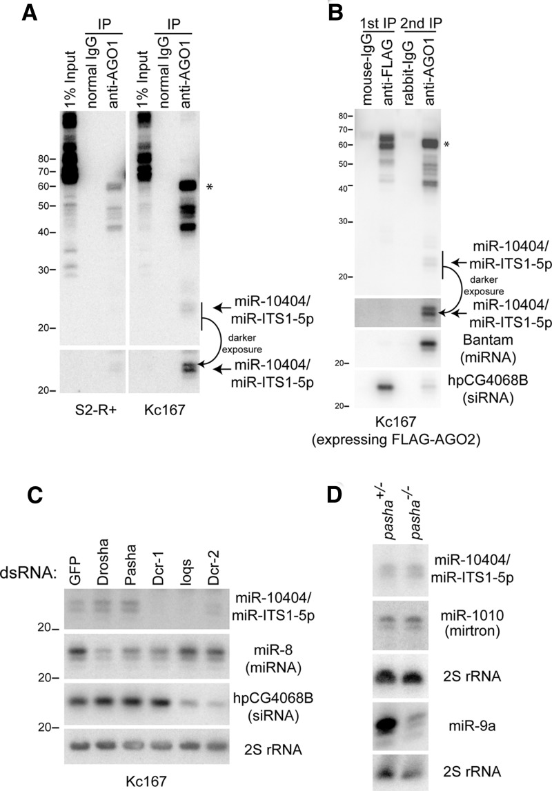 FIGURE 3.