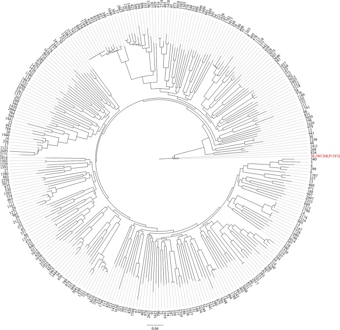 FIG 1