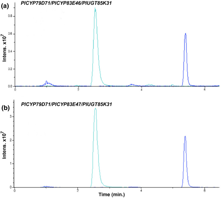 FIGURE 3