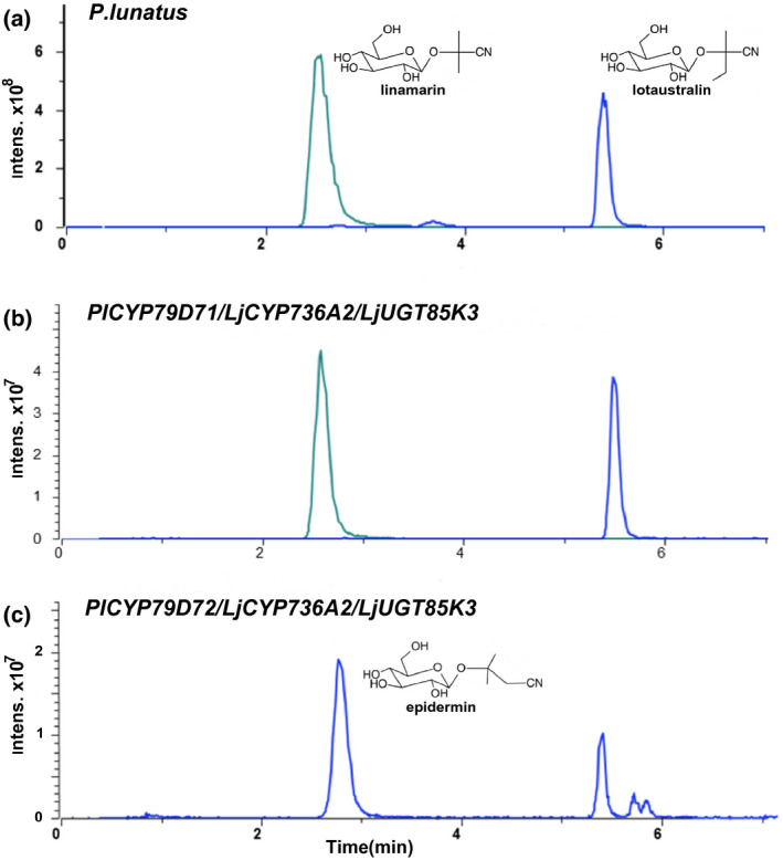 FIGURE 2