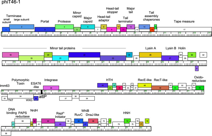 FIG 1