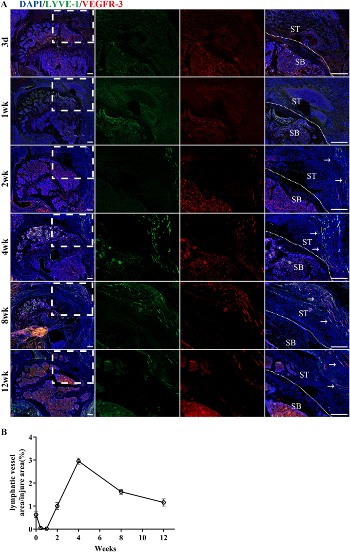 Figure 2