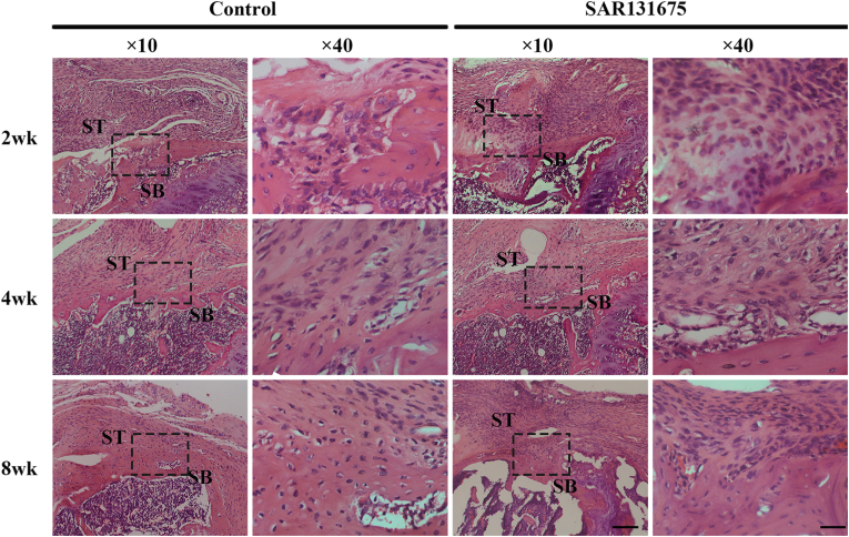 Figure 6