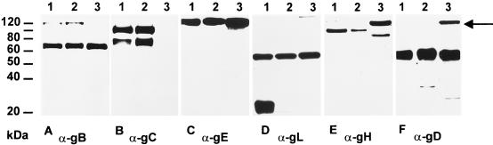 FIG. 5