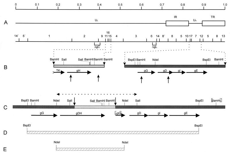 FIG. 6