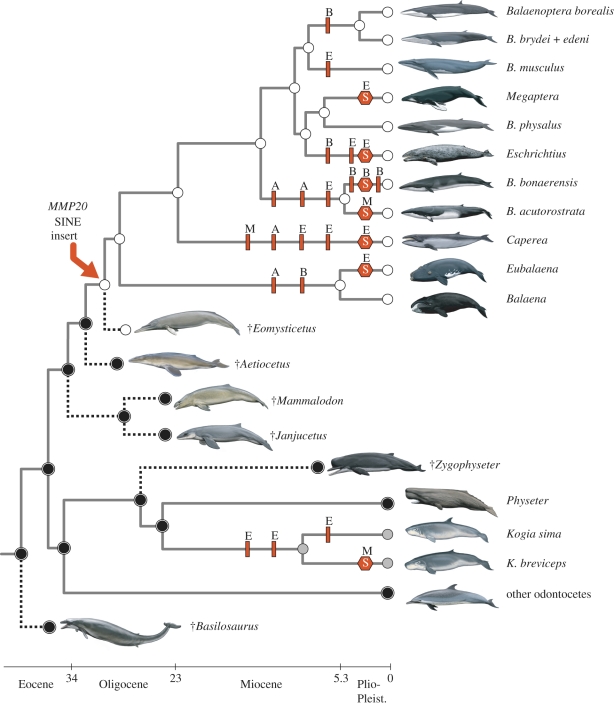 Figure 2.