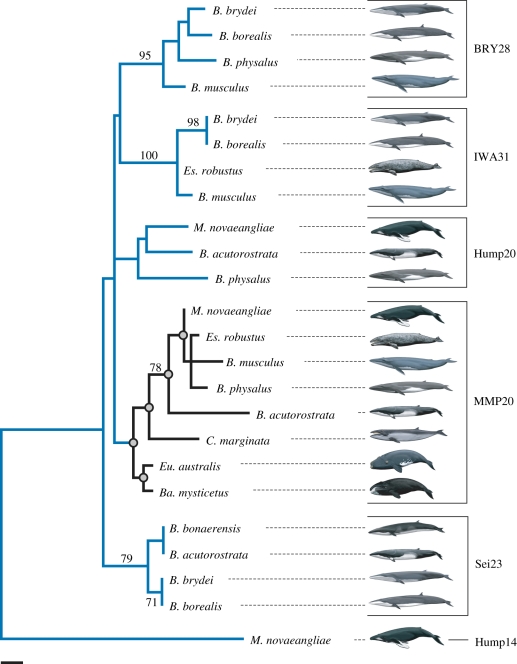 Figure 4.