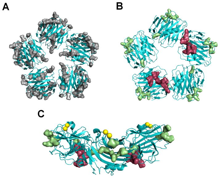 Figure 9