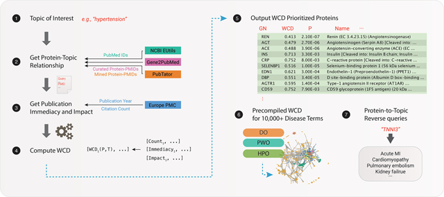 Identifying High-Priority Proteins Across the Human Diseasome Using ...