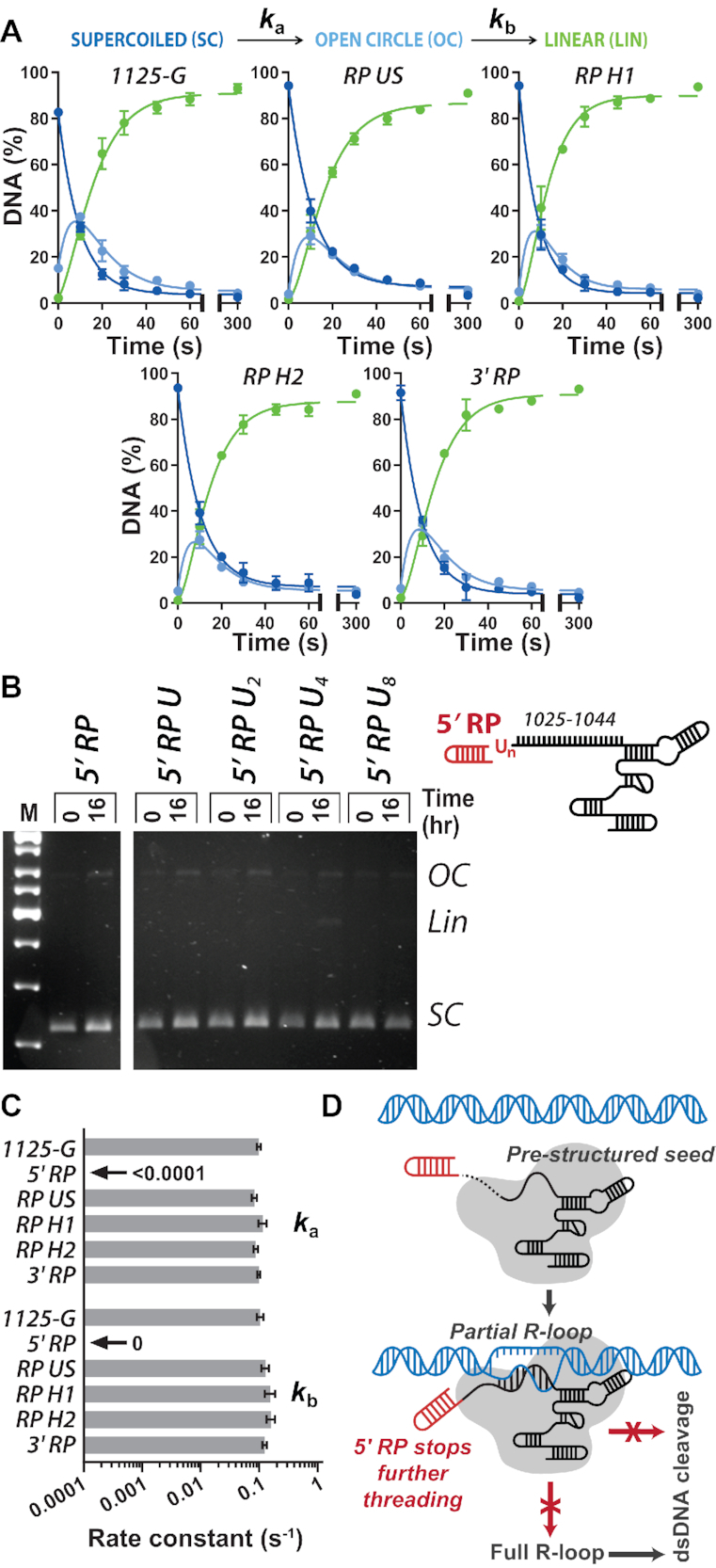 Figure 6.