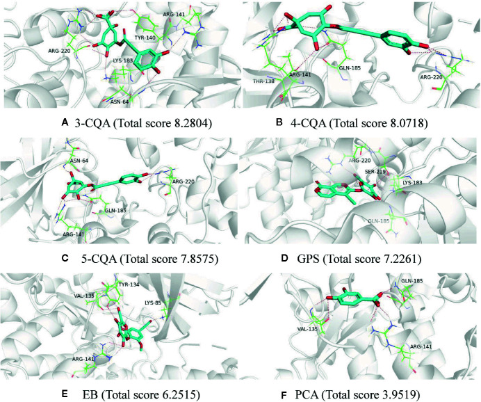 Figure 4