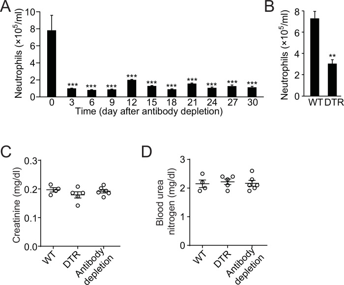 Figure 5—figure supplement 1.