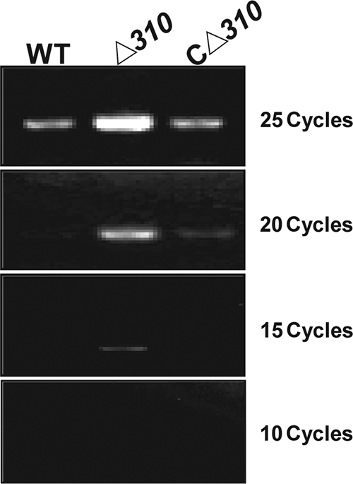 FIG. 6.