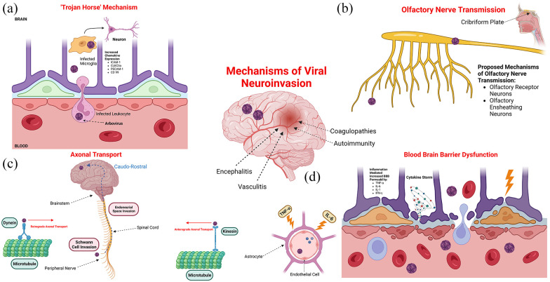 Figure 3.