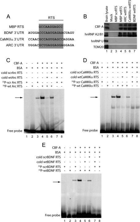 FIGURE 6: