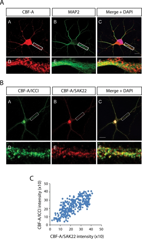 FIGURE 2: