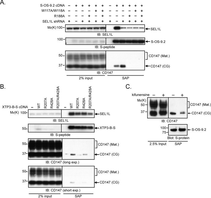 FIGURE 4: