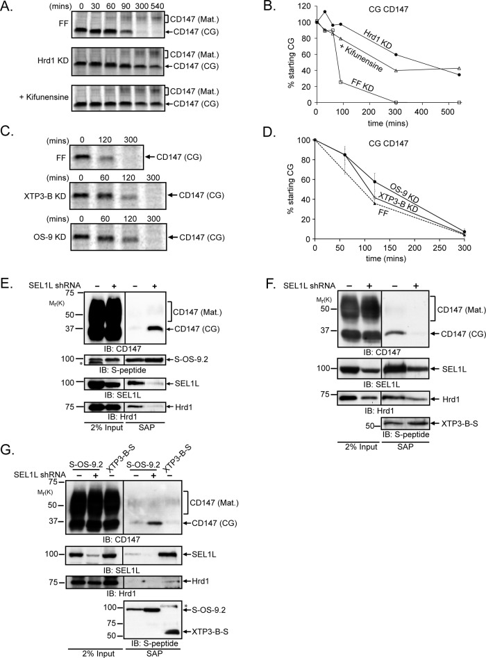 FIGURE 3: