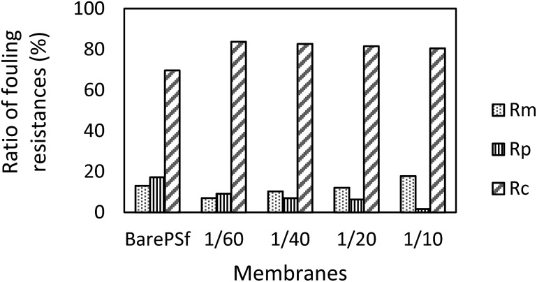 Fig. 10