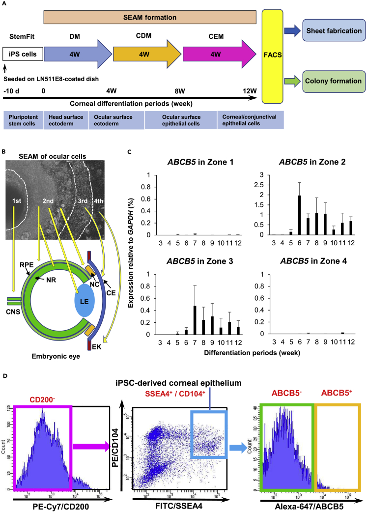 Figure 1