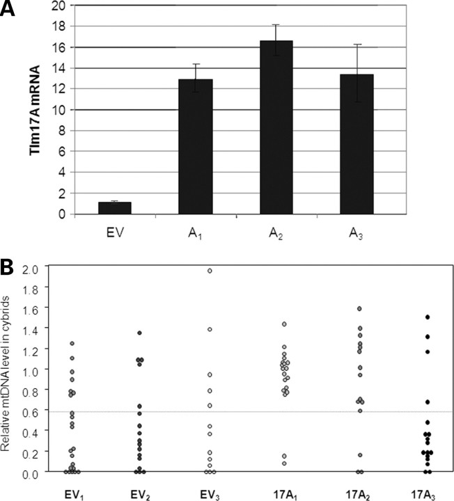 Figure 3.