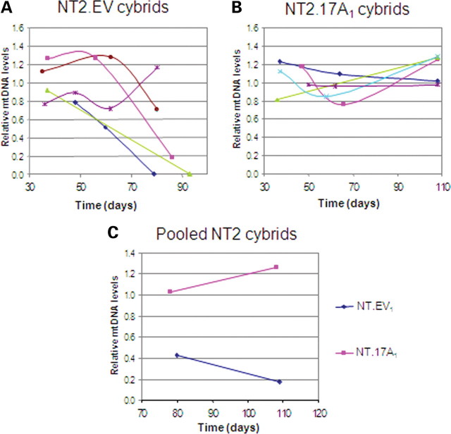 Figure 5.