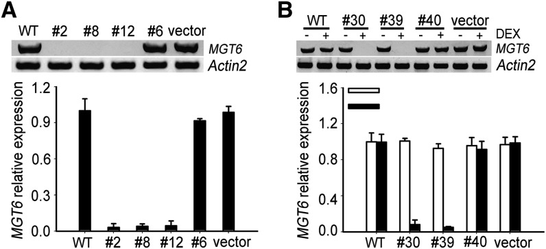 Figure 5.