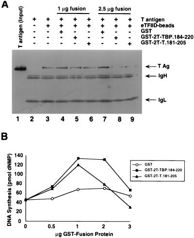 FIG. 6