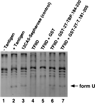 FIG. 7